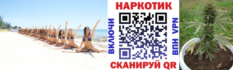 Продажа наркотиков Снежногорск Alpha PVP  COCAIN  ГАШ  Меф  Марихуана 