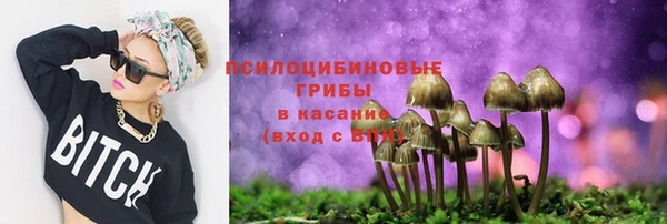 кристаллы Горняк