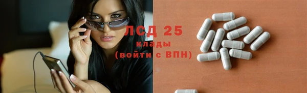 сатива Горно-Алтайск