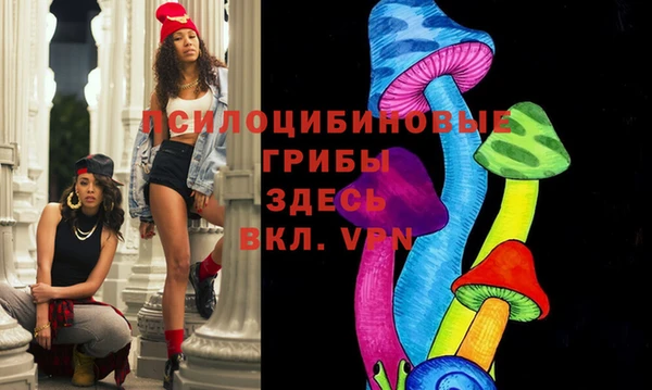 сатива Горно-Алтайск