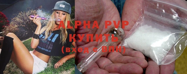 сатива Горно-Алтайск