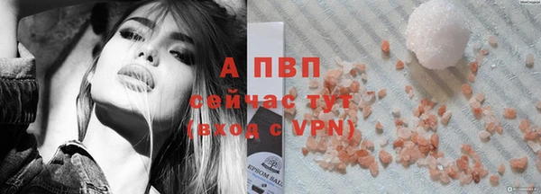 сатива Горно-Алтайск