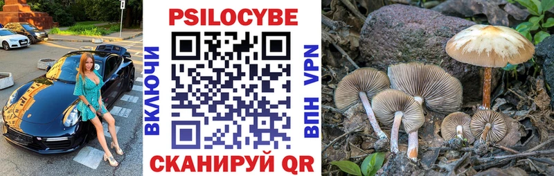 Галлюциногенные грибы MAGIC MUSHROOMS  мега ссылки  Снежногорск 
